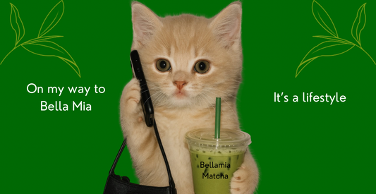 Here’s Why "Matcha Is a Lifestyle" and How It Fits Into Yours!